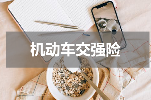 机动车交强险