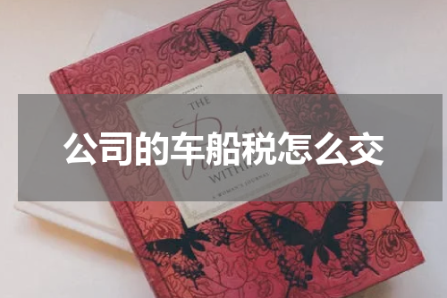公司的车船税怎么交