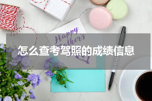 怎么查考驾照的成绩信息