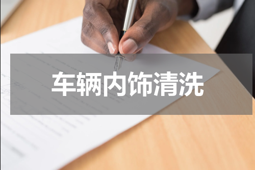 车辆内饰清洗