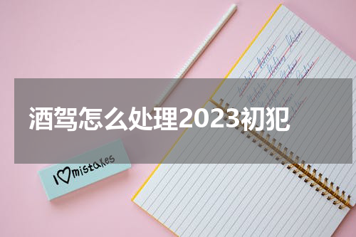 酒驾怎么处理2023初犯