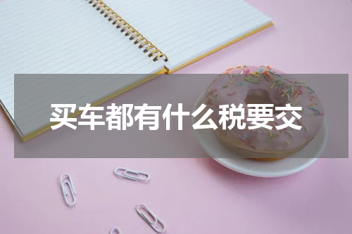买车都有什么税要交