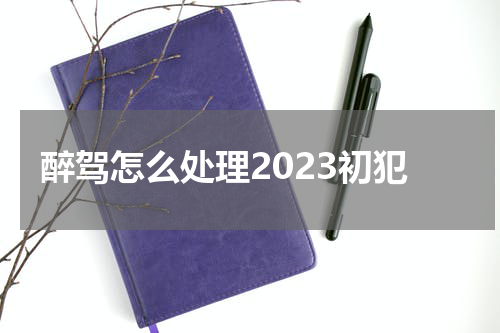 醉驾怎么处理2023初犯