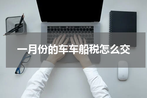 一月份的车车船税怎么交
