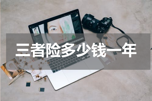 三者险多少钱一年