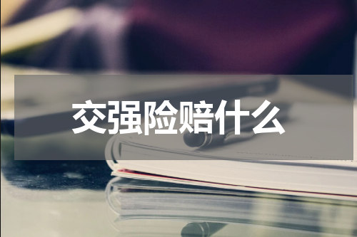 交强险赔什么