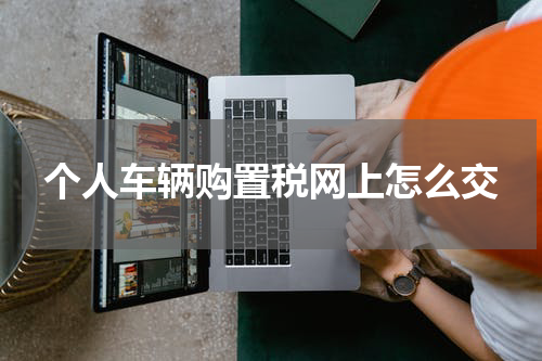 个人车辆购置税网上怎么交
