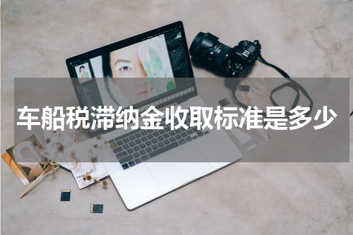 车船税滞纳金收取标准是多少