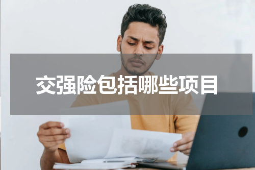 交强险包括哪些项目