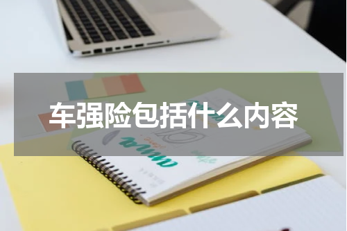 车强险包括什么内容