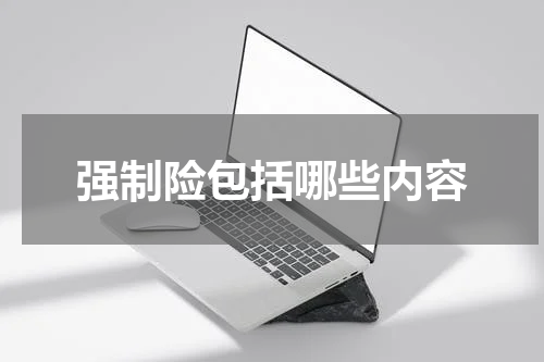 强制险包括哪些内容