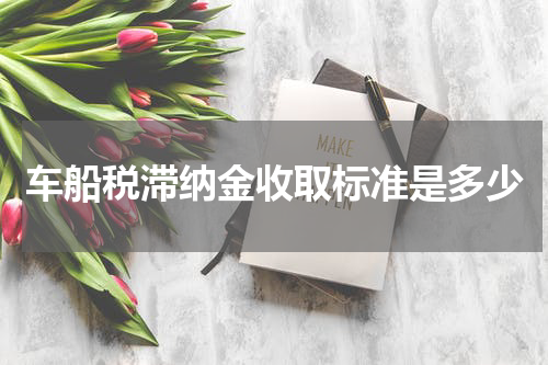 车船税滞纳金收取标准是多少