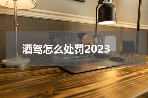 酒驾怎么处罚2023