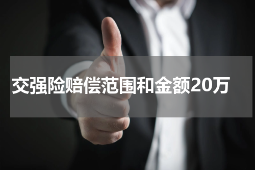 交强险赔偿范围和金额20万