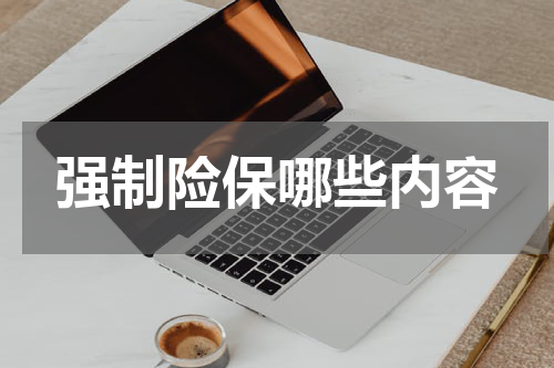 强制险保哪些内容