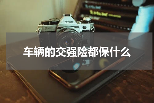 车辆的交强险都保什么