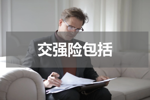 交强险包括