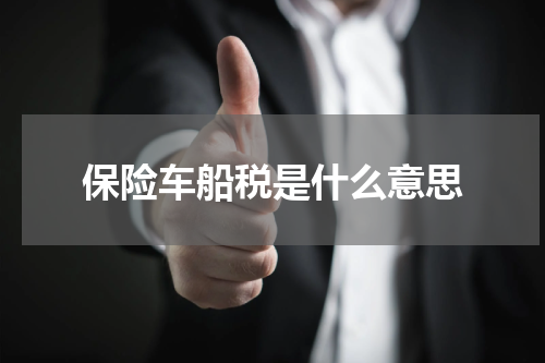 保险车船税是什么意思