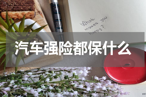 汽车强险都保什么