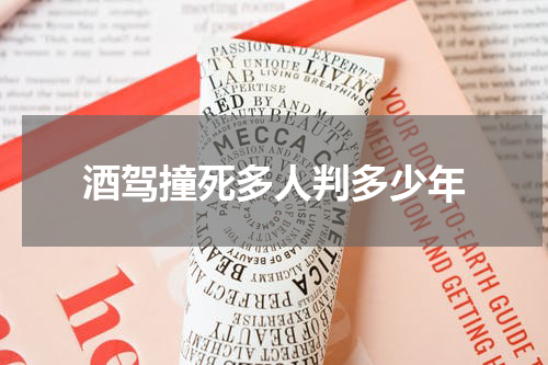 酒驾撞死多人判多少年