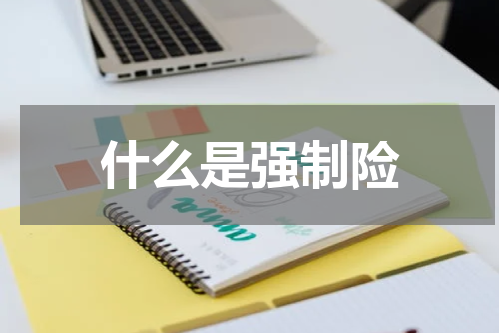 什么是强制险