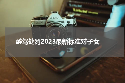 醉驾处罚2023最新标准对子女
