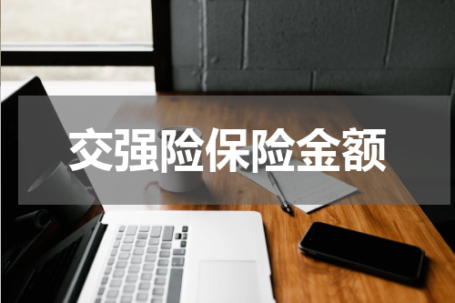 交强险保险金额
