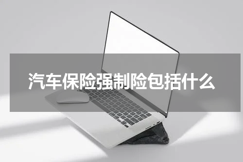 汽车保险强制险包括什么