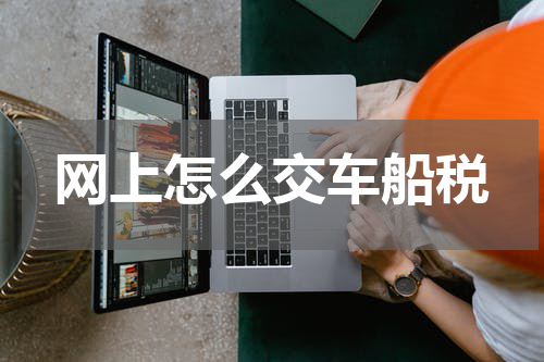 网上怎么交车船税
