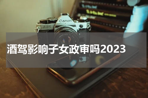 酒驾影响子女政审吗2023