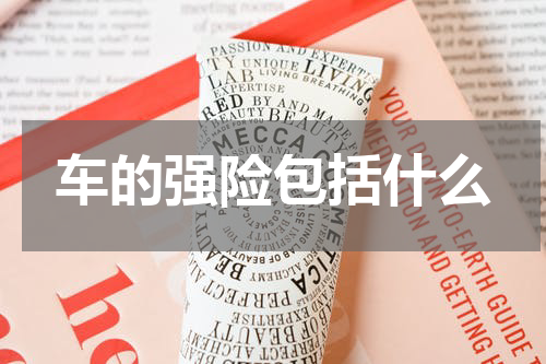 车的强险包括什么