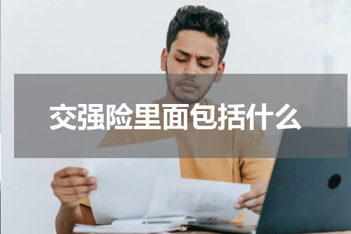 交强险里面包括什么