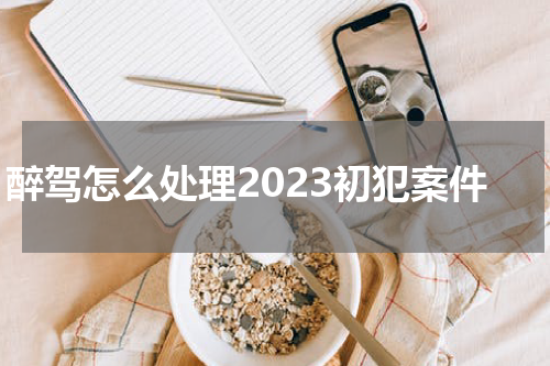 醉驾怎么处理2023初犯案件