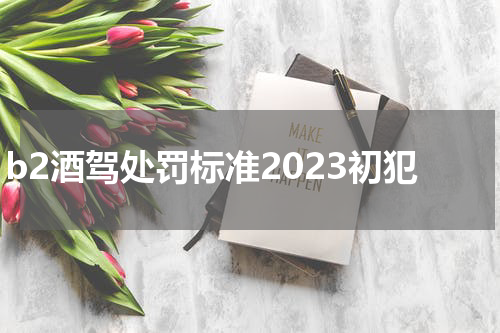 b2酒驾处罚标准2023初犯