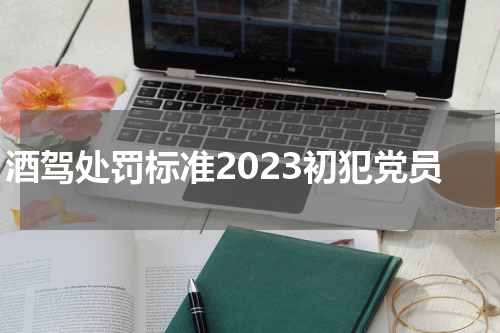酒驾处罚标准2023初犯党员