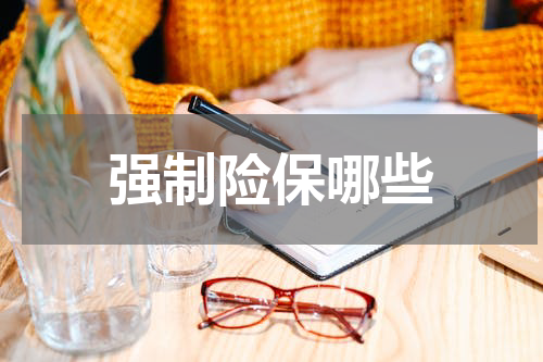 强制险保哪些