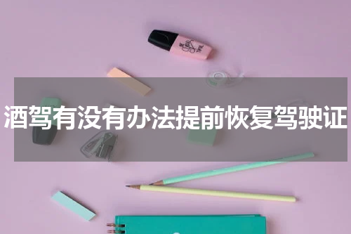 酒驾有没有办法提前恢复驾驶证