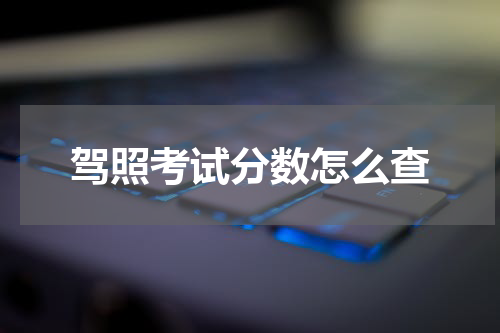 驾照考试分数怎么查