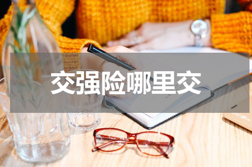 交强险哪里交