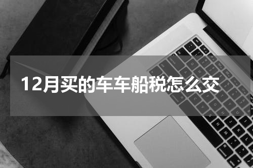 12月买的车车船税怎么交