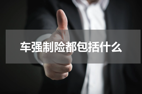 车强制险都包括什么