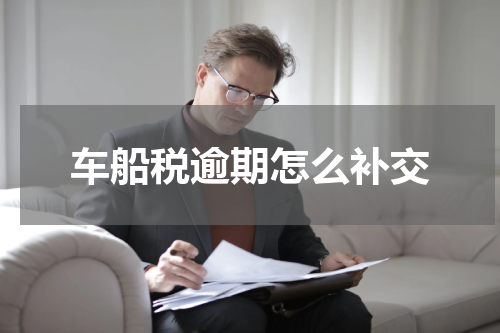车船税逾期怎么补交