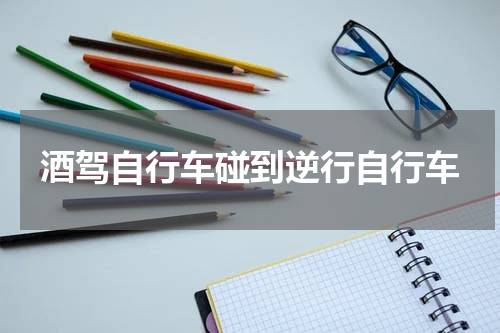 酒驾自行车碰到逆行自行车