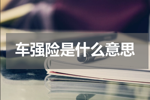 车强险是什么意思