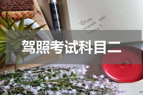 驾照考试科目二