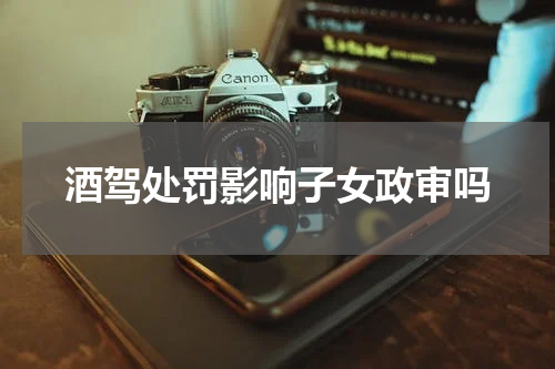 酒驾处罚影响子女政审吗