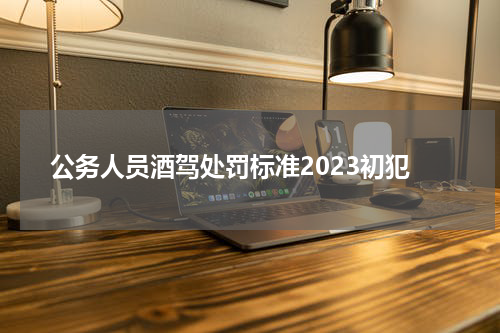 公务人员酒驾处罚标准2023初犯