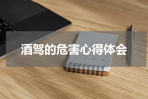 酒驾的危害心得体会