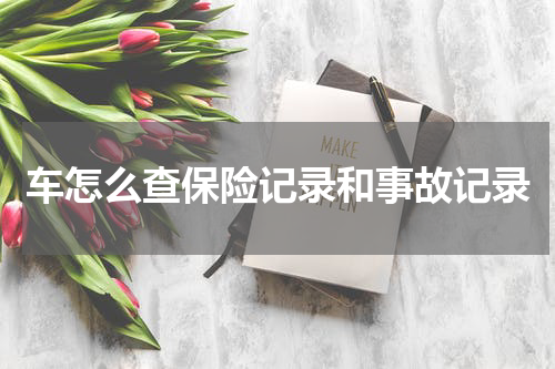 车怎么查保险记录和事故记录