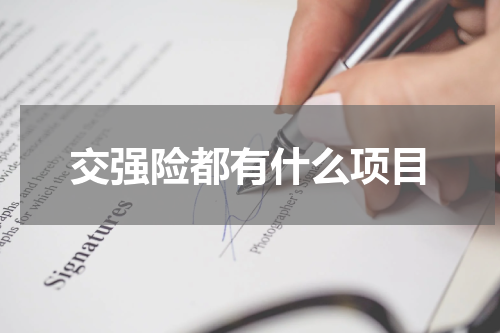 交强险都有什么项目